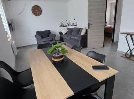 Appartement rénové avec jardin - proche centre