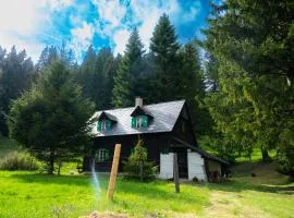 Almhütte am Steirischen Seeberg