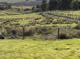 Goldenhill