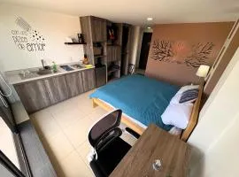 S09 SUITE KING Premium Suite TEC CEM Cocineta WiFi Balcón Parking Terraza