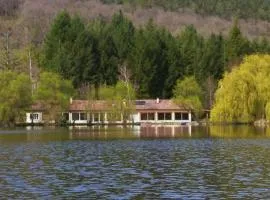 Les Pyrénées au bord de l'eau