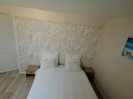La sublime turquoise, chambre dans 1 appart entier