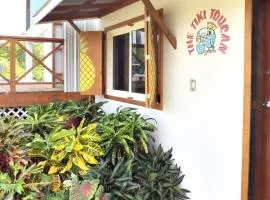 Tropical 1BR Suite with Pool Access - Flying Pig