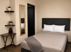 Garden room, Paseo Durango