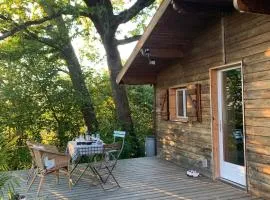 Cottage under the oak tree