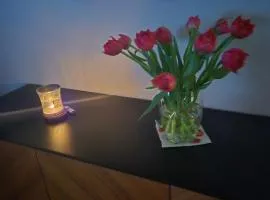 Apartament Studio