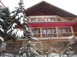 Willa M cisza w centrum miasta