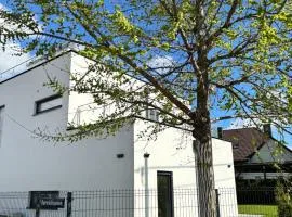 Haus mit Garten bei Wien