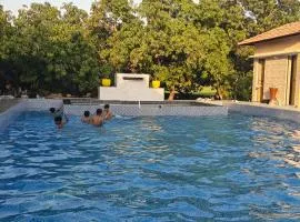 Gir Vintage Villa