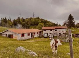 Malga Polpazza