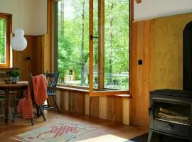 Creatively Converted Wooden Shed In The Forest