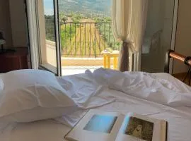 Horizon House, with Olive Grove and a small Vineyard