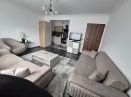 Single apartment, centrally located, renovated and modernized