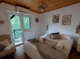 Terme Olimia - Apartment Lipa 112