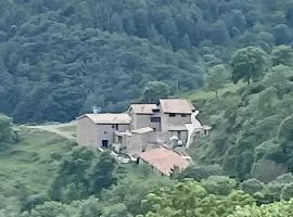 Mas Fogonella