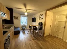 appartement T2 a 2 pas du centre du puy