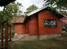 Vikendica Jelen