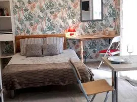 Studio cosy déco tropicale - 10 min gare & centre à pied