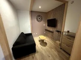 appartement T2 le grand velay