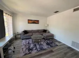 Lake Eola view 1 bedroom Thornton Park