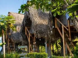 sasy tropical stay