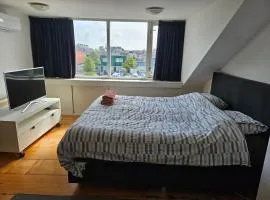 sfeervolle zolderkamer aan singel in centrum