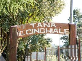 La Tana Del Cinghiale, ξενοδοχείο σε Tirli