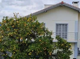Morada Pé de Laranja