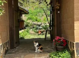가평 야옹이네 Near Seoul Healing Stay Cats, BBQ, Korean Firepit Nights