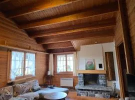 Cozy Chalet in Alpine village, Interlaken region