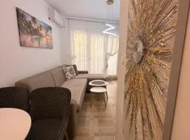 Modern Apartment