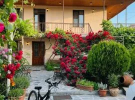 Guesthouse Mtkvari