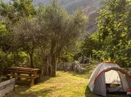 My Olive Garden Camp