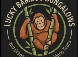 Lucky Bamboo'Bungalows and Orangutan Jungle Trekking Tours