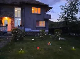 Vila la Izvorul Putinei