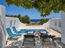Anema Boutique Hotel & Villas Santorini