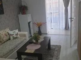 Apartament Razvan