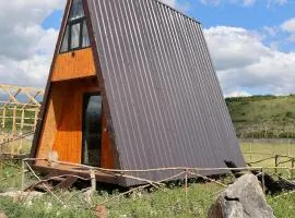 Cozy Lakefront Cabin - Myselim