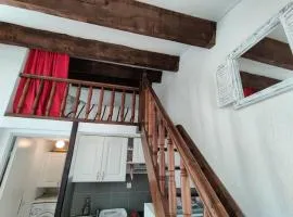 Studio mezzanine climatisé - Pinède - Plage à pied sous les pins