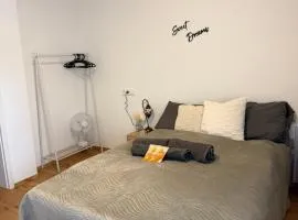 Modern 2-room apartment with terrace