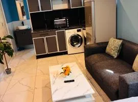 Browns villa and construction pty ltd