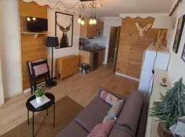Studio au pied des pistes avec balcon - Villard