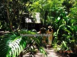 Jungle Like Oasis in San Ignacio - Secluded Cabaa Retreat Close To Mayan Ruins