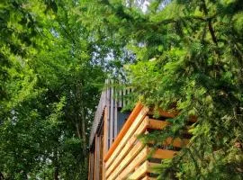 Forest Eco Glamping hiska