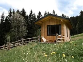 Ferienhaus "Moosgrün" - Tiny House Urlaub