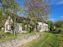Le vallon des vignes