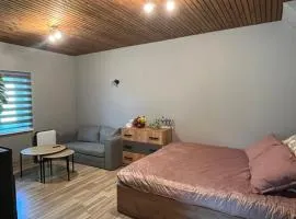 Pavasari
