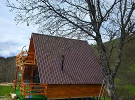 Svanieri-Cottage in Svaneti