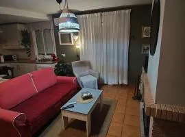 El Bosque NOMADA 5