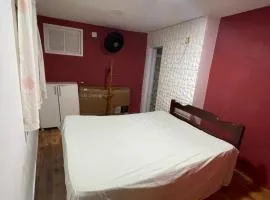 Casa verde